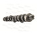 Camshaft, Thumbnail 4