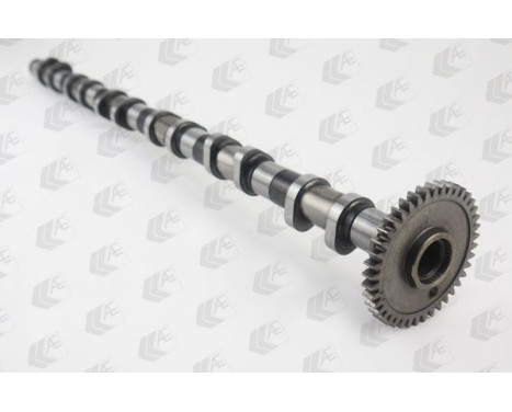 Camshaft, Image 3
