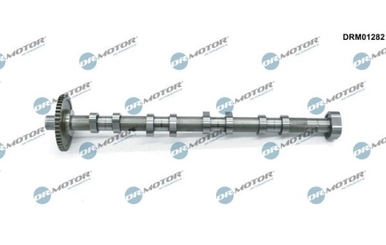 Camshaft