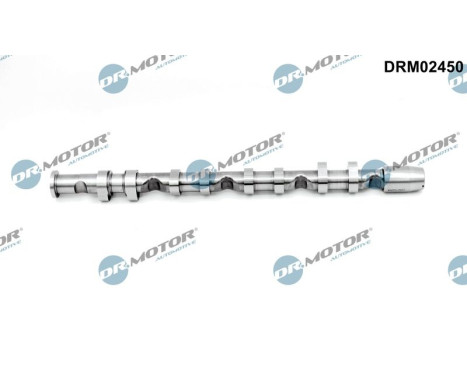 Camshaft
