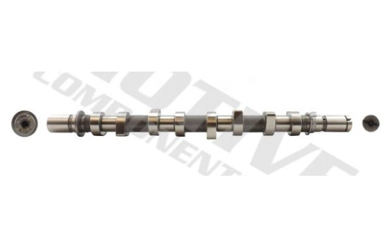 Camshaft