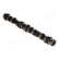 Camshaft, Thumbnail 3