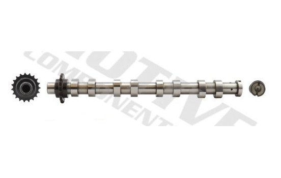 Camshaft