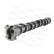 Camshaft, Thumbnail 2