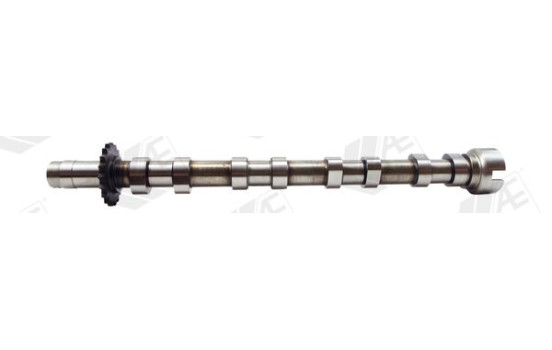 Camshaft