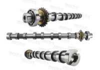 Camshaft