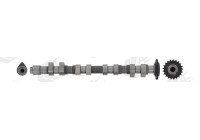 Camshaft