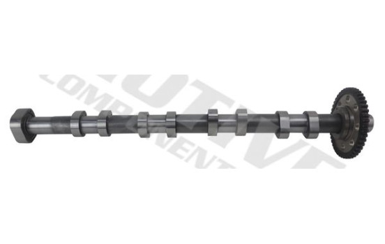 Camshaft, Image 4