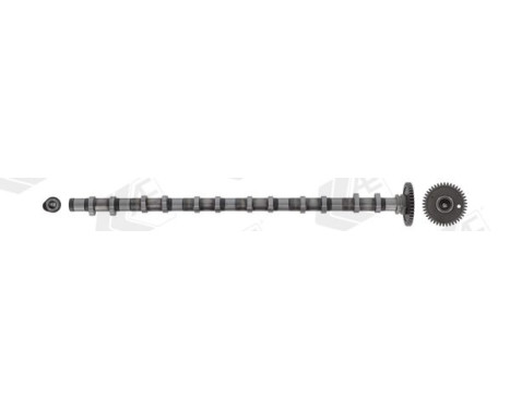 Camshaft, Image 4