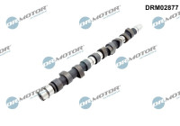 Camshaft