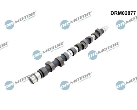 Camshaft