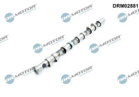 Camshaft