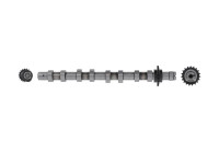 Camshaft