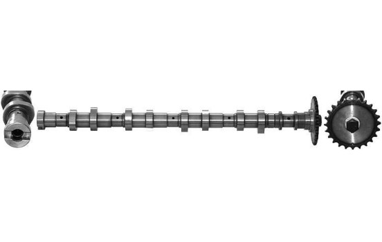 Camshaft