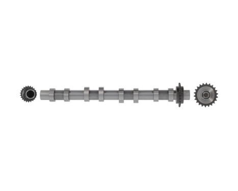 Camshaft