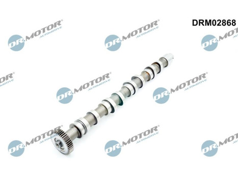 Camshaft