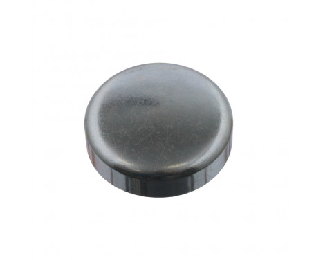 Frost Plug