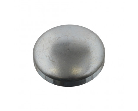 Frost Plug