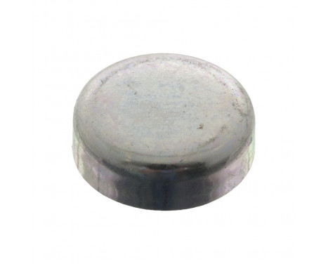 Frost Plug