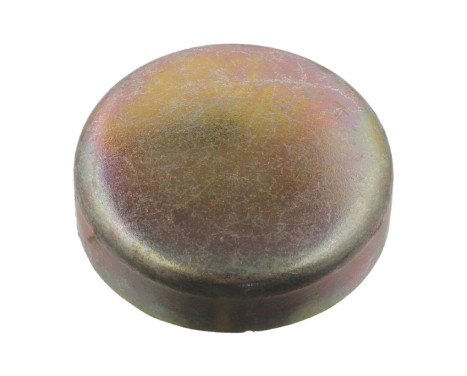 Frost Plug
