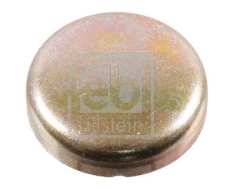 Frost Plug, Image 2