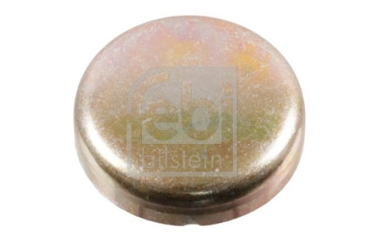 Frost Plug, Image 2