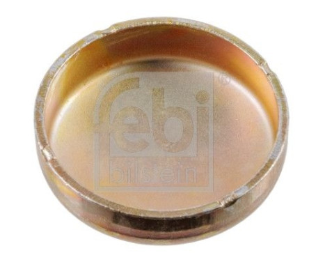 Frost Plug, Image 3
