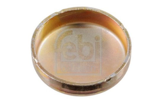 Frost Plug, Image 3