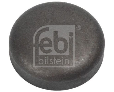 Frost Plug, Image 2