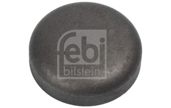 Frost Plug, Image 2
