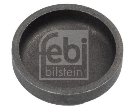 Frost Plug, Image 3