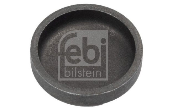 Frost Plug, Image 3