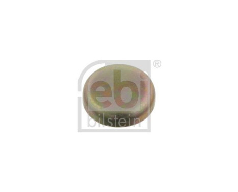 Frost Plug, Image 2