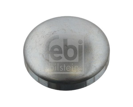 Frost Plug, Image 2