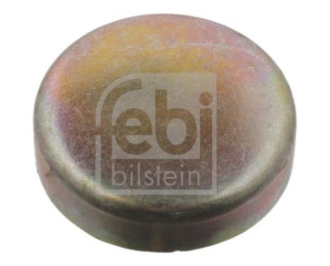 Frost Plug, Image 2