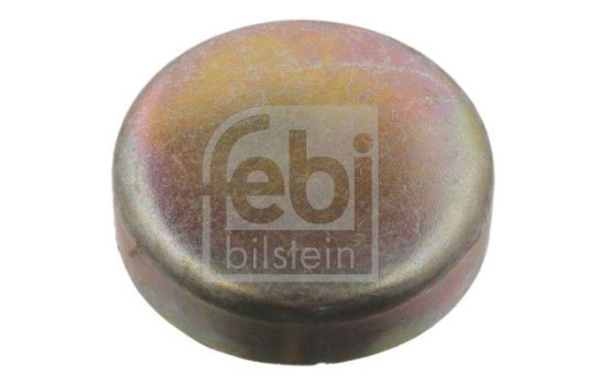 Frost Plug, Image 2