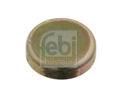 Frost Plug, Image 2