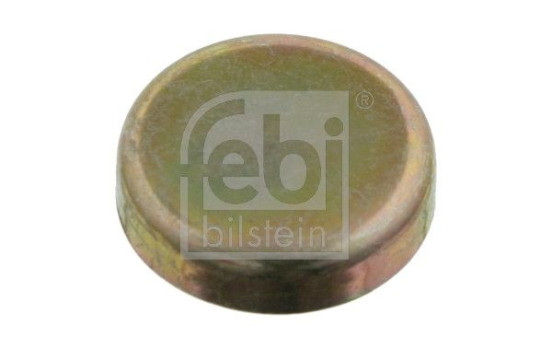 Frost Plug, Image 2