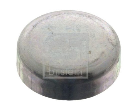 Frost Plug, Image 2