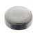 Frost Plug, Thumbnail 2