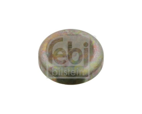 Frost Plug, Image 2