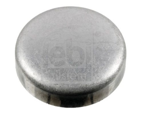 Frost Plug, Image 2