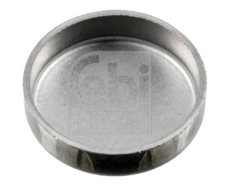 Frost Plug, Image 3