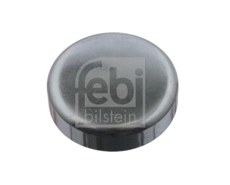 Frost Plug, Image 2