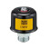 Filter, crankcase breather