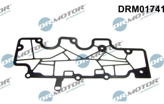 Gasket, engine crankcase breather