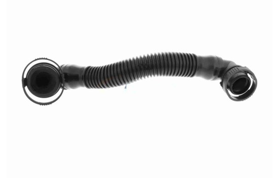 Hose, crankcase breather Original VAICO Quality, Image 2