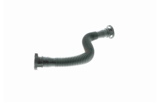 Hose, crankcase breather Original VAICO Quality, Image 5