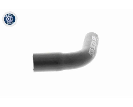 Hose, crankcase breather Q+, original equipment manufacturer quality, Image 7