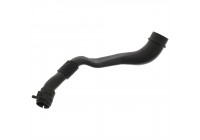 Hose, crankcase breather